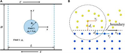 Dynamics of a droplet in shear flow by smoothed particle hydrodynamics